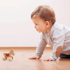 Petit jouet d'apprentissage intellectuel en bois pour bébés en forme de chien